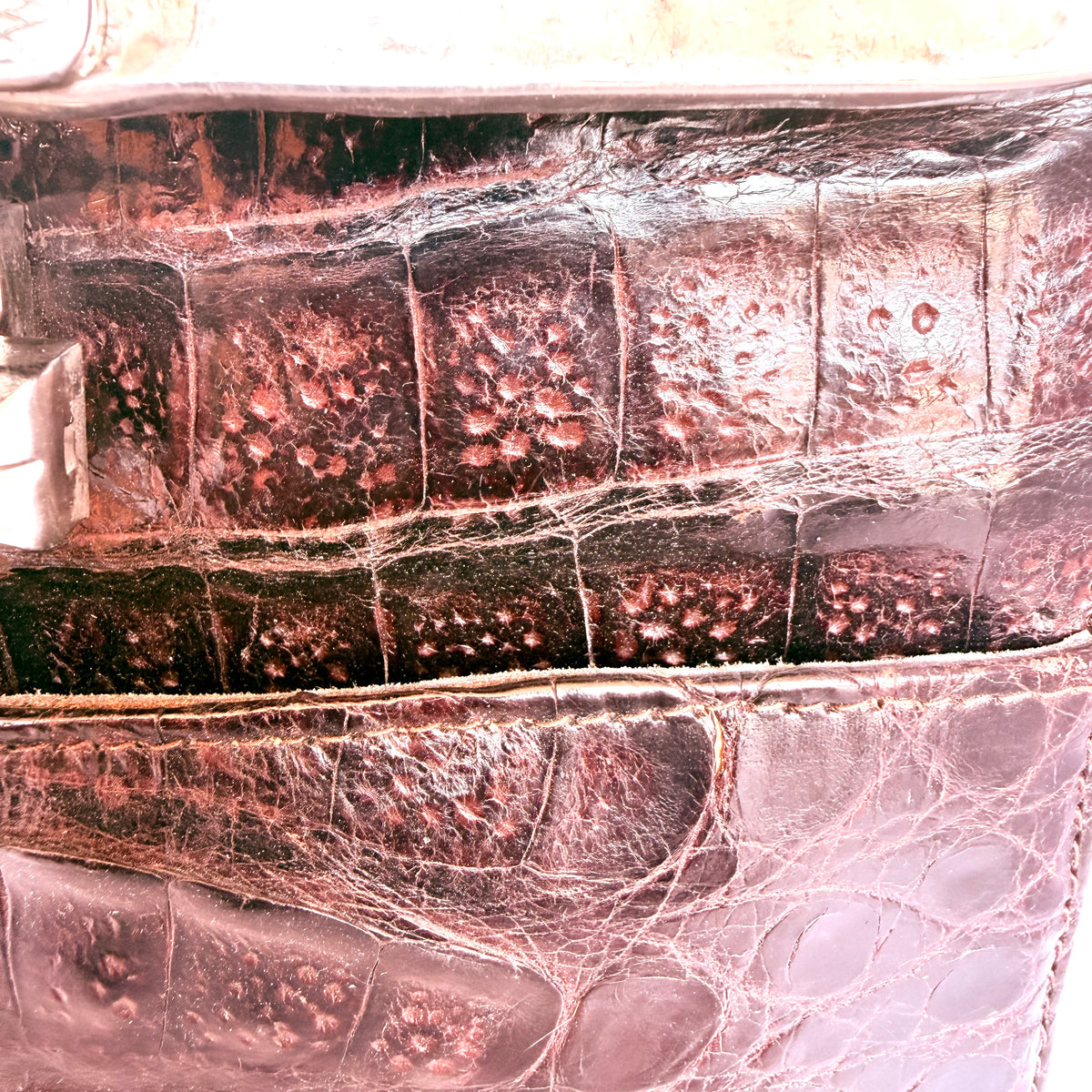 Geantă din Piele Naturală de Crocodil Maro – 20 × 10 × 24 cm