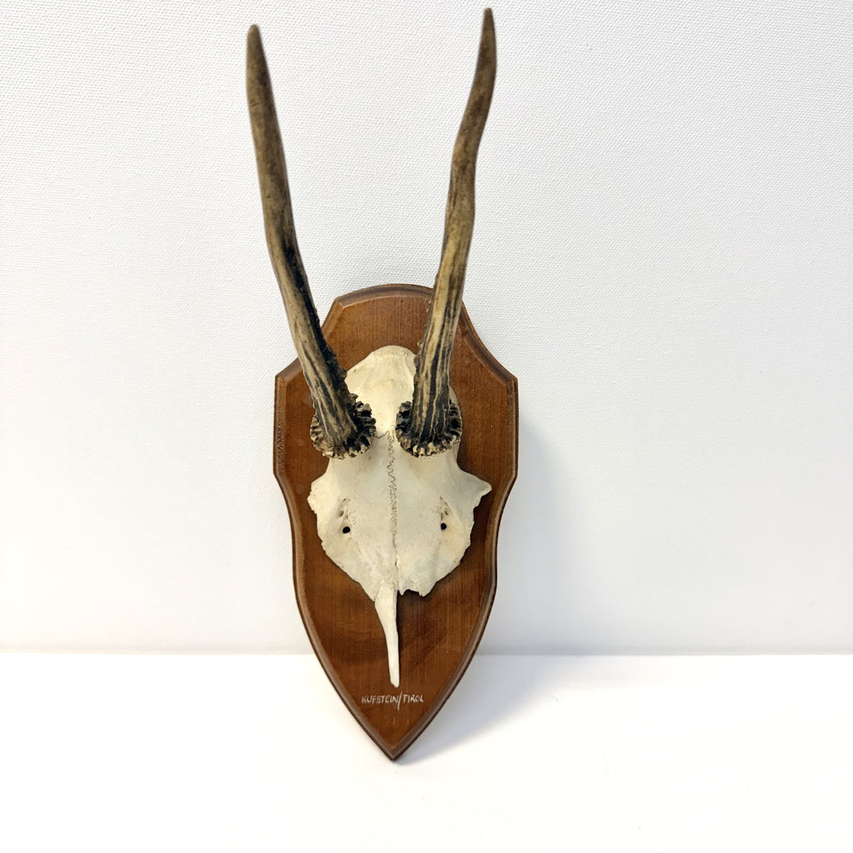 Trofeu de Căprioară pe Suport din Lemn – 10,5 × 15 × 29 cm