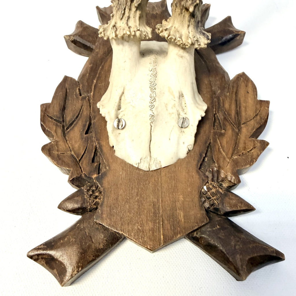 Trofeu de Căprior pe Suport din Lemn – 14,5 × 17 × 30 cm